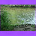 Sun Down On The River.jpg